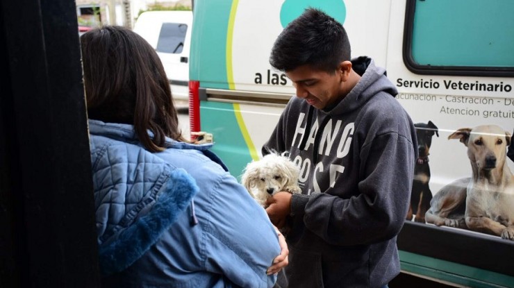 El móvil del servicio veterinario llegará al barrio Las Margaritas